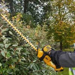 Dewalt Trimmer & Hedge cutter