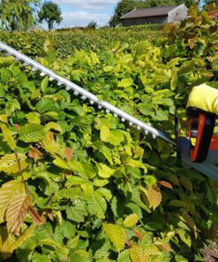 Terratek Trimmers & Hedge Cutters