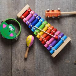 Musical Toy Instruments